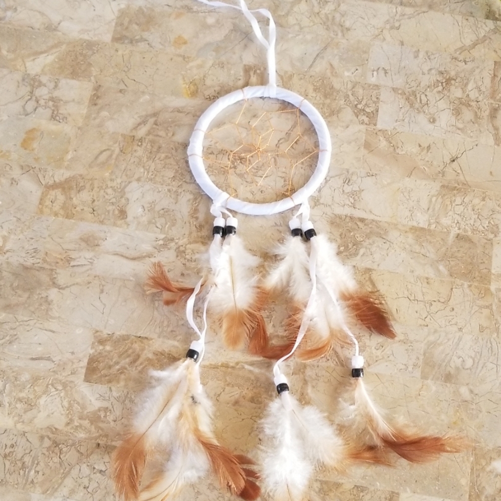 Dream Catcher Winter Snow